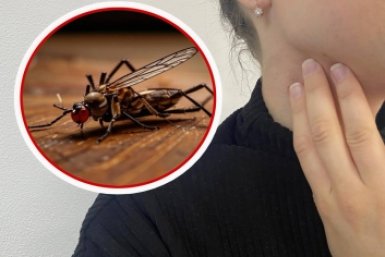 1 мазок на шею - в весенний лес без аэрозолей: комары сразу падают за полметра коллаж на основе ИА Stavropol.Media и ИИ &quotКандинский&quot (18+)