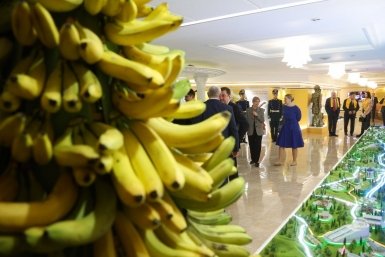 Когда на Ставрополье созреют первые бананы, рассказал Владимиров Совет Федерации РФ