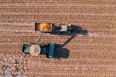 Сельхозпроизводство на Ставрополье прибавило 14% за 2025 год Мария Смитюк, ИА PrimaMedia.ru