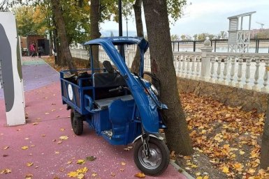 В Кисловодске 6-летняя девочка на служебной электротележке врезалась в дерево ГАИ СК