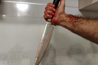 Мужчину осудили на 6 лет за убийство сестры из-за гаража в Кисловодске Елена Гиневская, ИА PriamurMedia