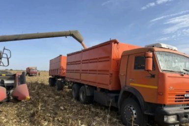 На Ставрополье собрали более 313 тысяч тонн кукурузы Соцсети Владимира Владимирова